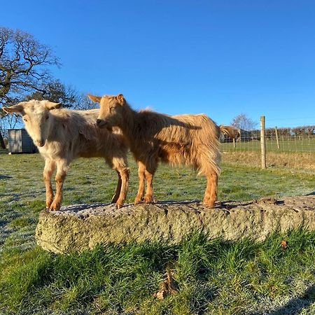 Lovaton Farmhouse Okehampton Zewnętrze zdjęcie