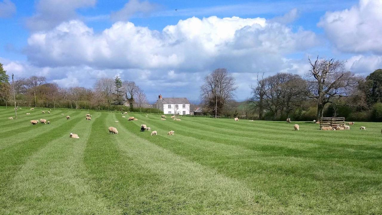 Lovaton Farmhouse Okehampton Zewnętrze zdjęcie