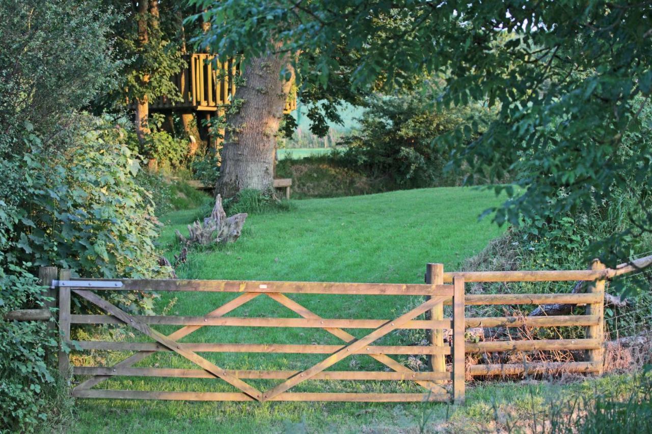 Lovaton Farmhouse Okehampton Zewnętrze zdjęcie