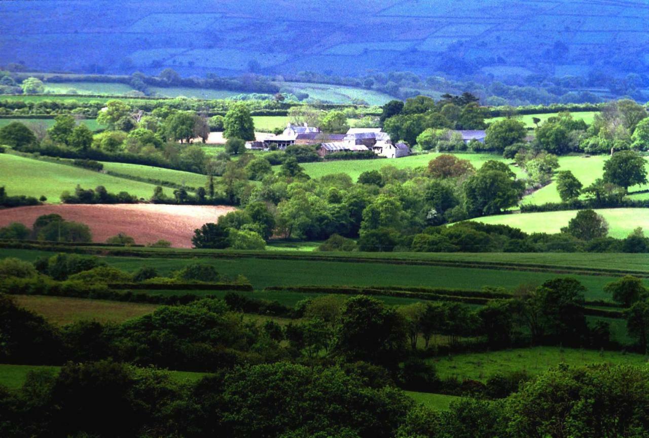 Lovaton Farmhouse Okehampton Zewnętrze zdjęcie