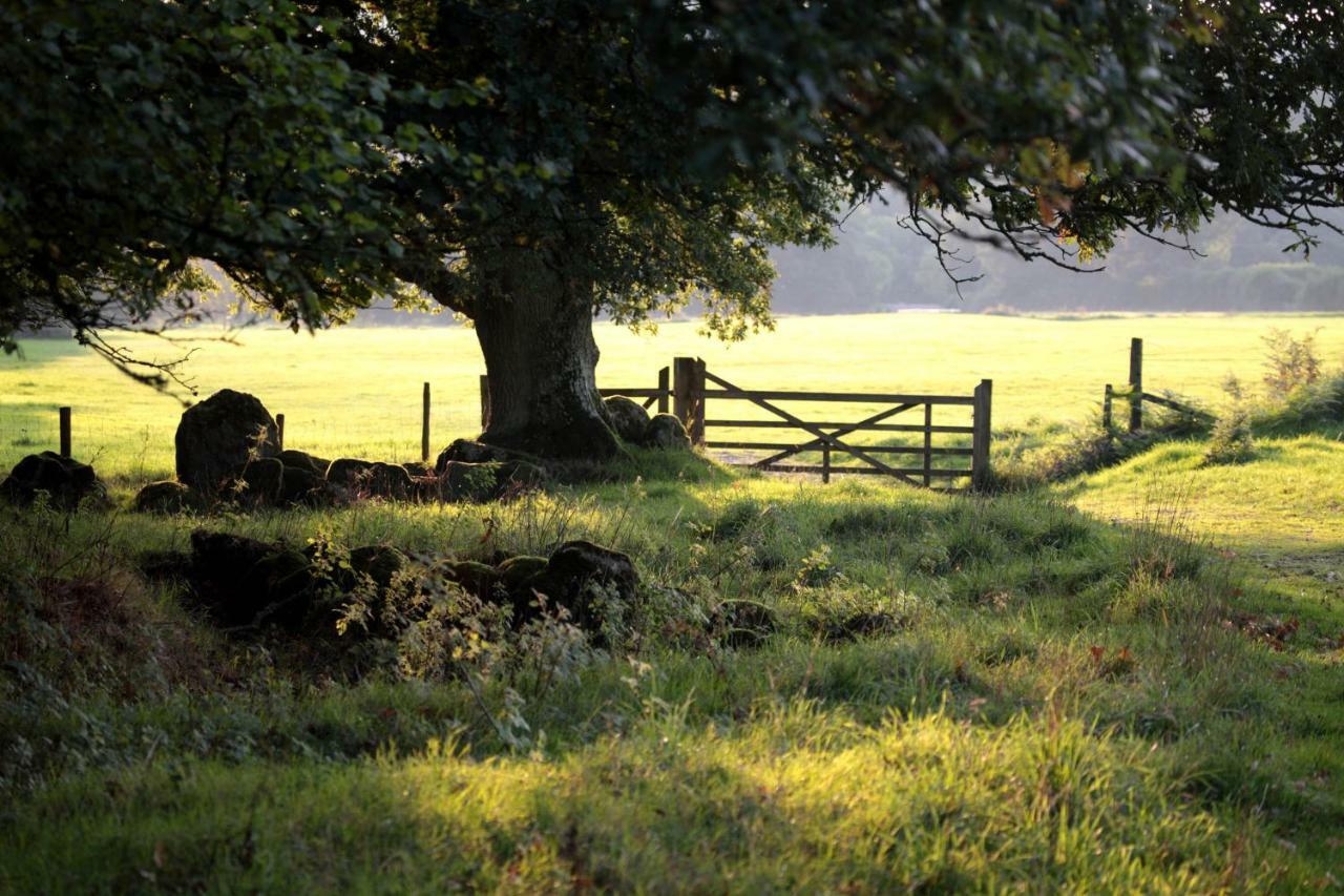 Lovaton Farmhouse Okehampton Zewnętrze zdjęcie