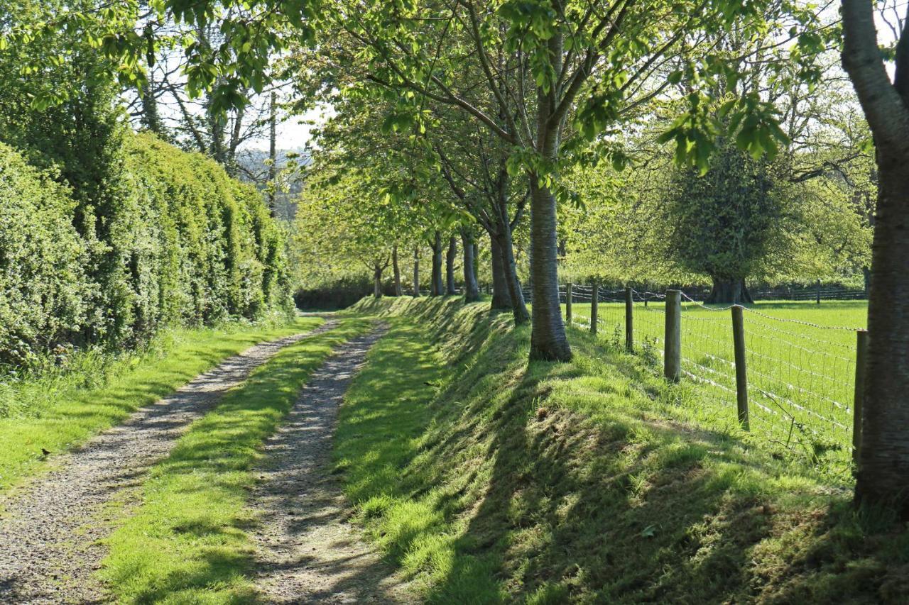 Lovaton Farmhouse Okehampton Zewnętrze zdjęcie